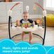 Ігровий центр, що розвиває, дитячий джемпер Fisher-Price Jumperoo Baby Activity Center Бежевий 5094773/1 фото 7
