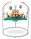 Ігровий центр, що розвиває, дитячий джемпер Fisher-Price Jumperoo Baby Activity Center Зелений 5094773/2 фото 2