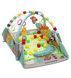 Ігровий килимок LEAN Toys 5в1 з кульками у подарунок / Килимок для розвитку X-647 5094785 фото 8